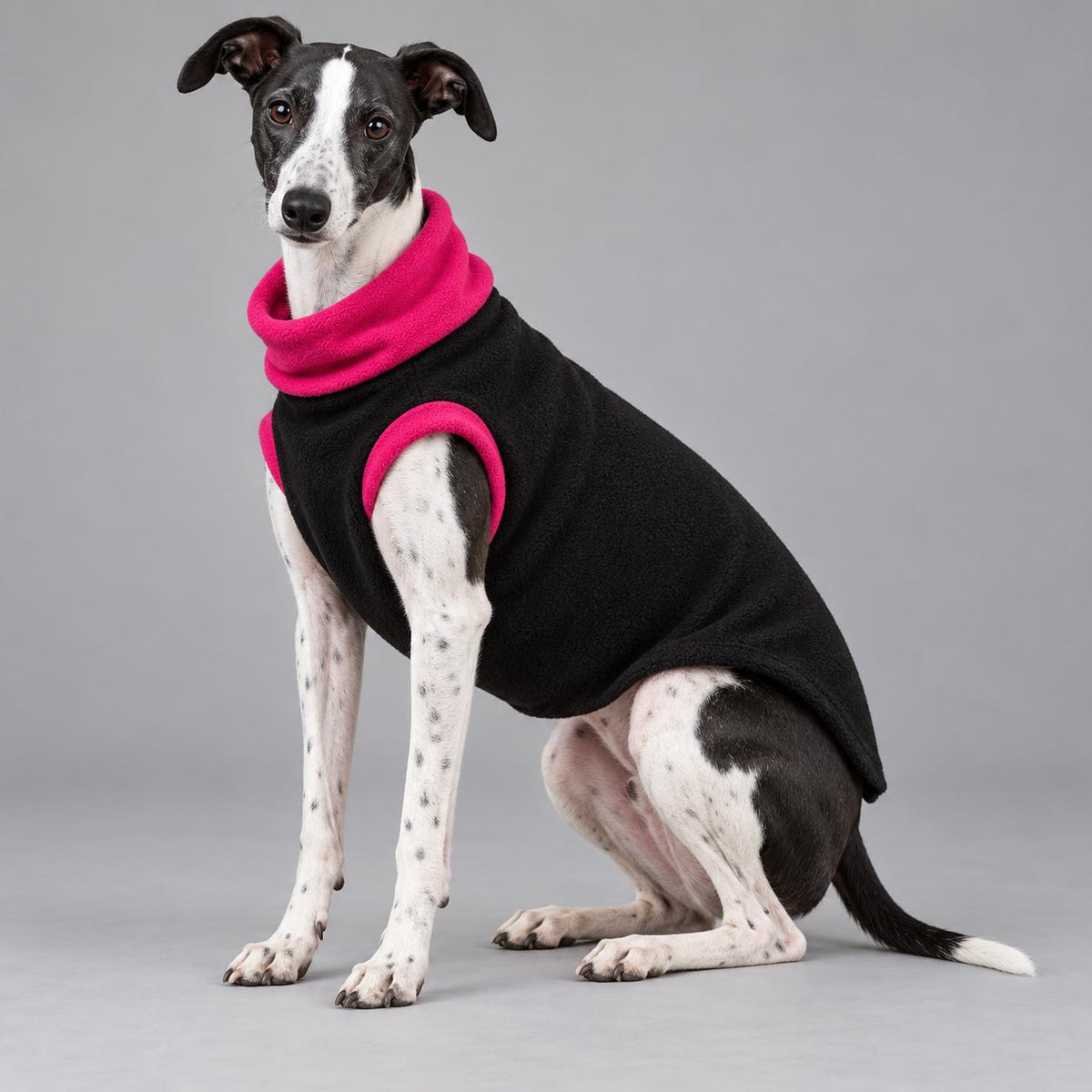 Whippet Fleece Jumper, Sleeveless Dog Coat with Turtle Neck, Two Tone Anti Pill Fleece, Handmade Dog Clothing
