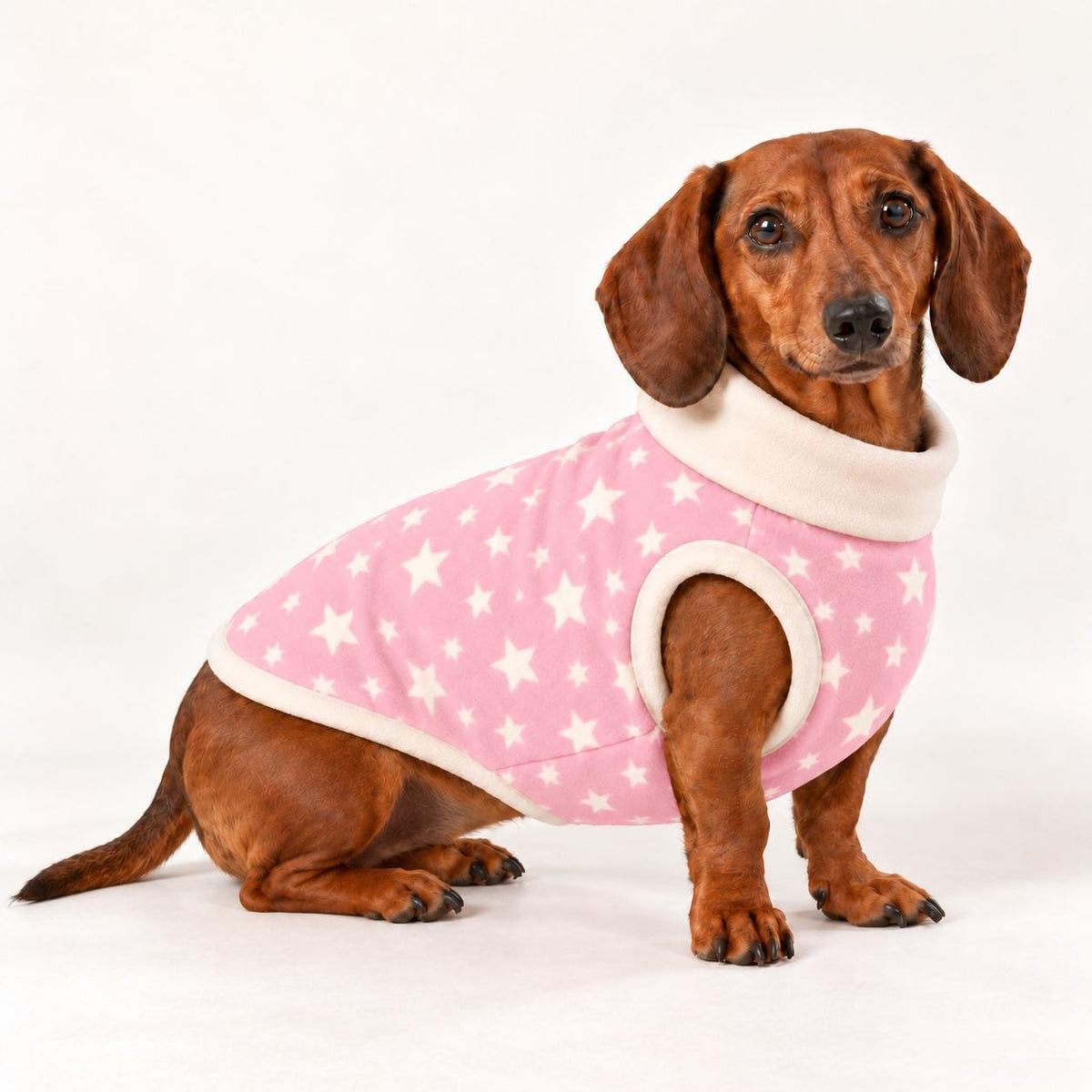 Handmade Two Tone Star Fleece Jumper For Sausage Dog, Warm Dachshund Coat, Small to Large Dog Clothing