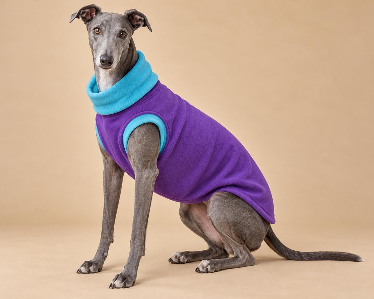 English Greyhound Fleece Jumper, Turtle Neck Dog Pyjamas, Greyhound Winter Top, Soft Fleece Greyhound Clothes