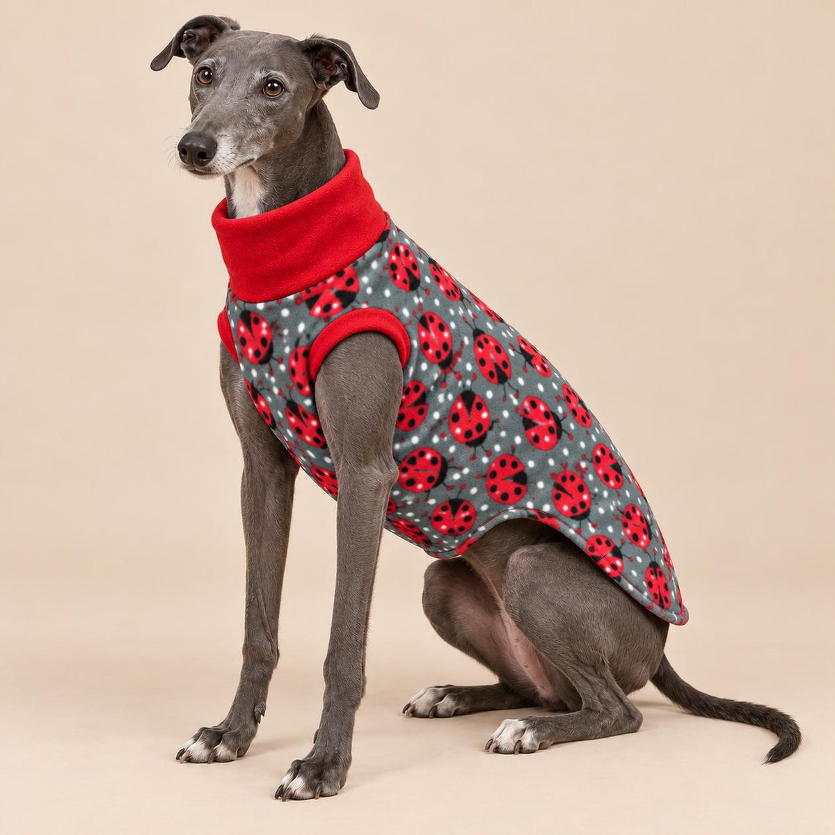 English Greyhound Fleece Jumper, Turtle Neck Dog Pyjamas, Greyhound Winter Top, Soft Fleece Greyhound Clothes