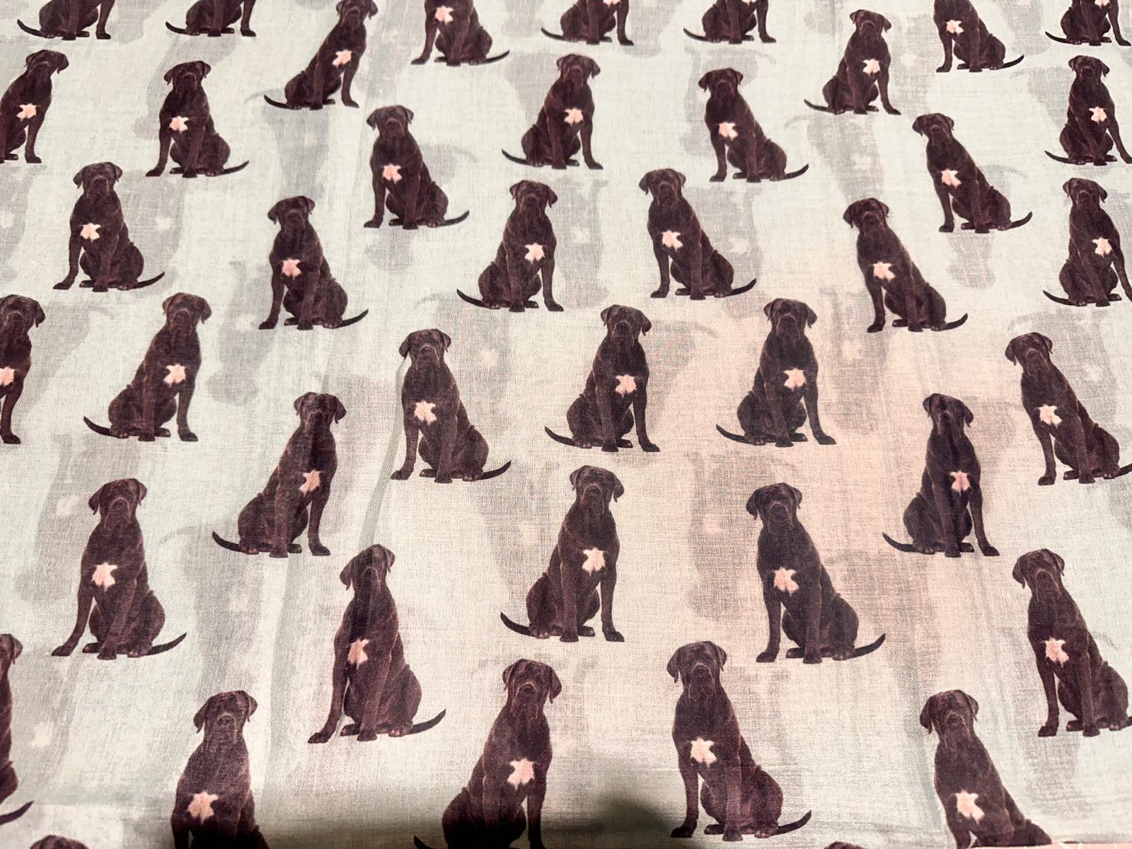 Cane Corso Dog Print Scarf: Lightweight Cotton Blend Comes with a gift bag