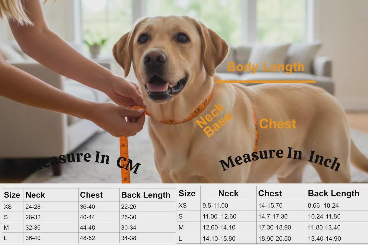 Bright-Walk Hi-Visibility Lightweight Breathable Reflective Mesh Dog Safety Dog Vest Velcro Fastening For Fur Friend