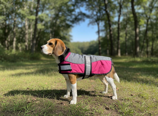 Adventure Bound Waterproof Ripstop Dog Jacket with Harness Access & Reflective Straps Safety Velcro Fastening For Fur Friend