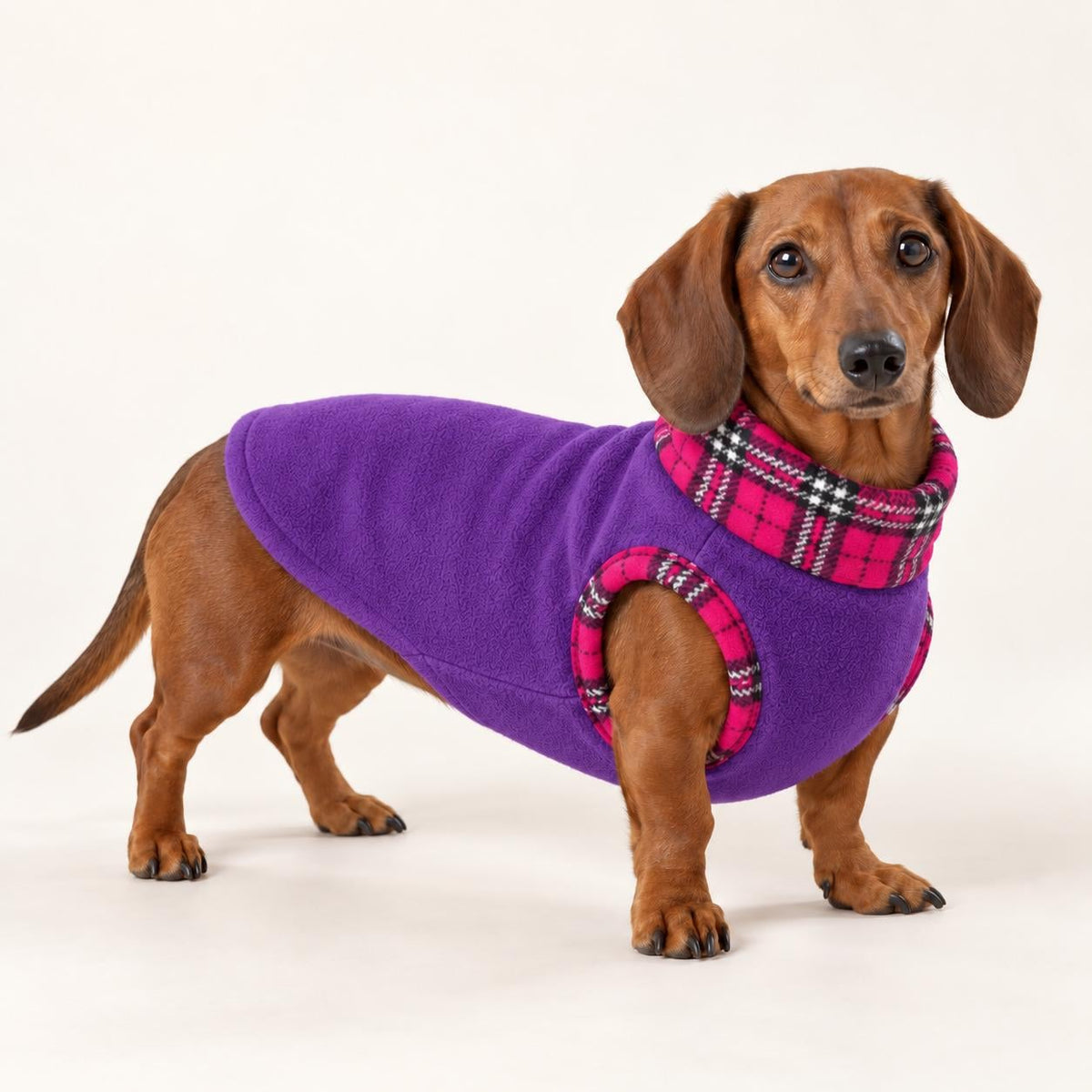 Cosy Fleece Dog Coat with Tartan Plaid Trim – Warm Winter Vest for Dachshunds & Small Dogs