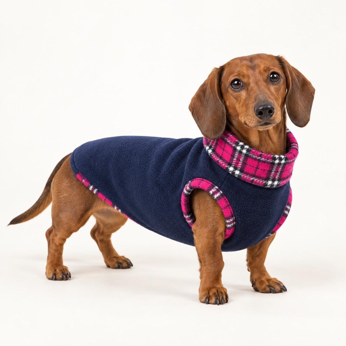 Cosy Fleece Dog Coat with Tartan Plaid Trim – Warm Winter Vest for Dachshunds & Small Dogs
