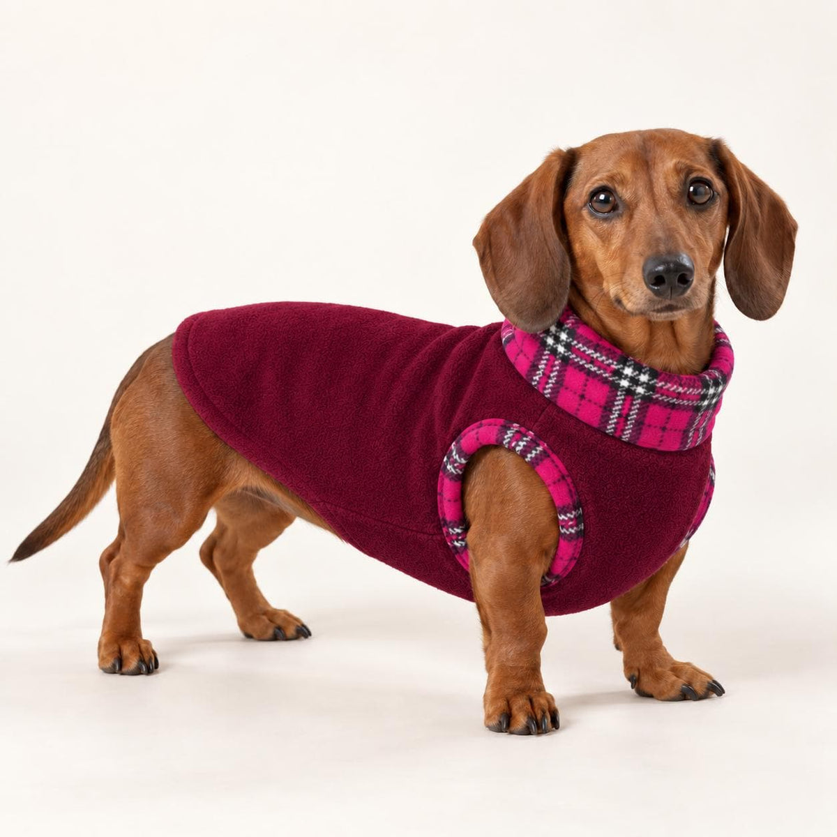 Cosy Fleece Dog Coat with Tartan Plaid Trim – Warm Winter Vest for Dachshunds & Small Dogs