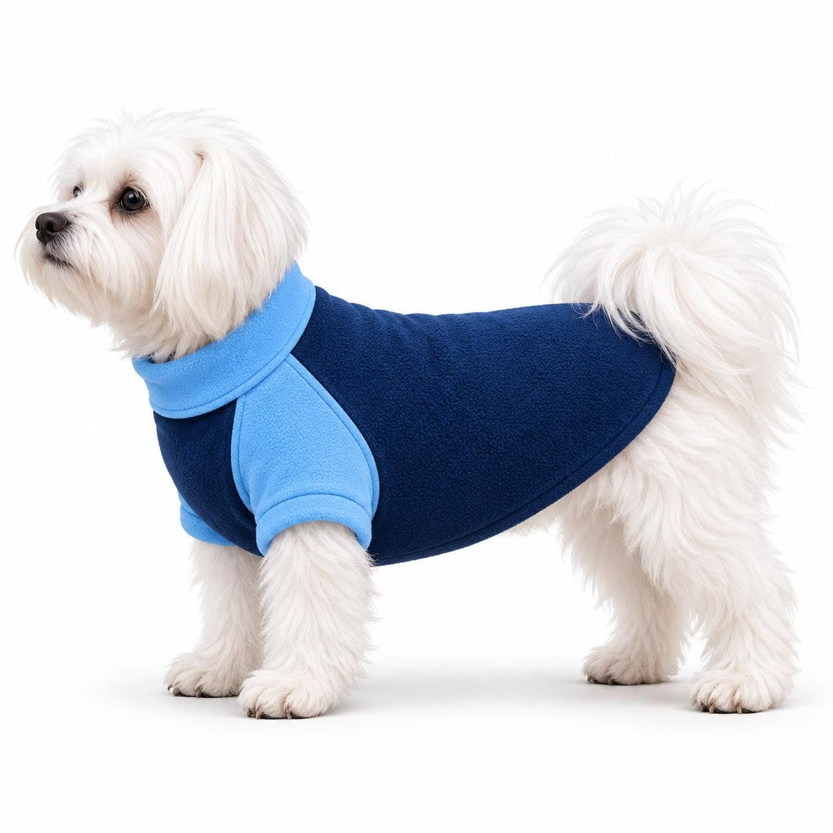 Two-Tone Fleece Dog Jumper, Handmade Raglan Dog Sweater, Warm Colour Block Pet Clothing, Small Dog Winter Jumper