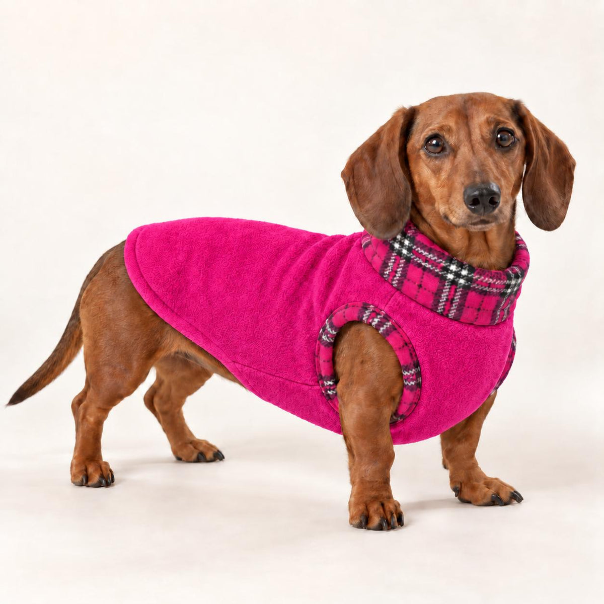 Cosy Fleece Dog Coat with Tartan Plaid Trim – Warm Winter Vest for Dachshunds & Small Dogs