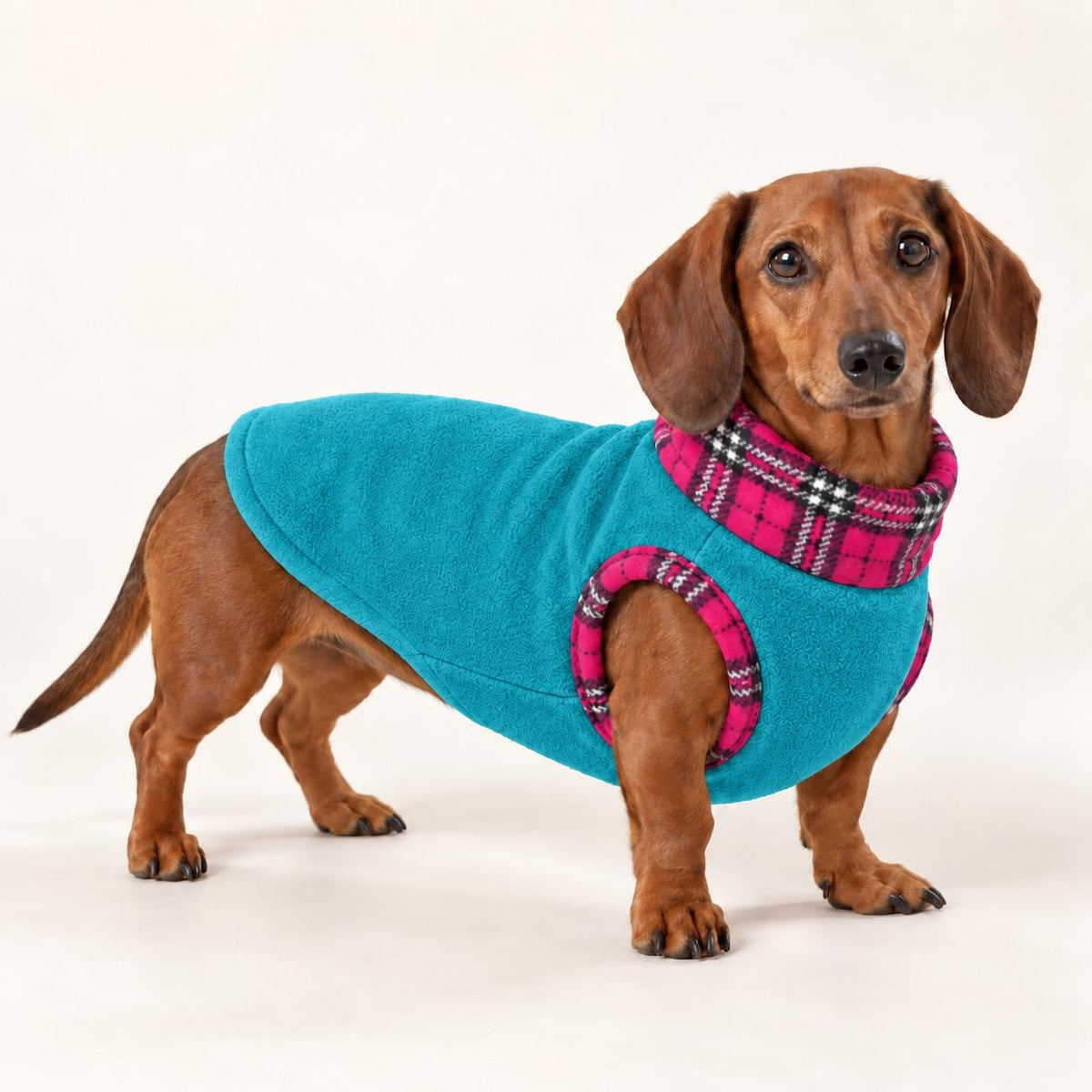 Cosy Fleece Dog Coat with Tartan Plaid Trim – Warm Winter Vest for Dachshunds & Small Dogs