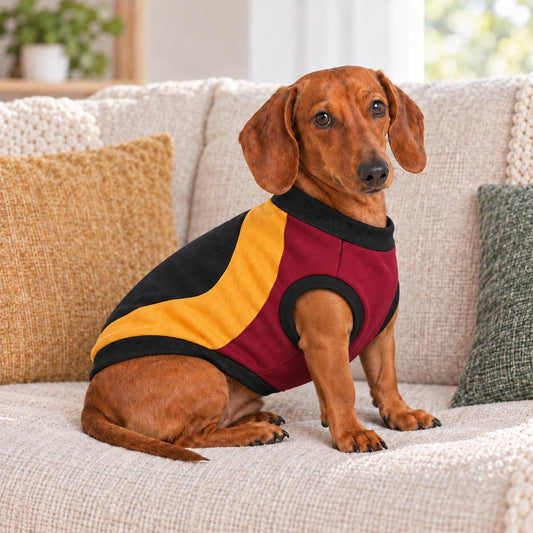 Colour Block Dachshund Sweatshirt | Burgundy, Mustard & Black Dog Jumper | Handmade Sausage Dog Clothing