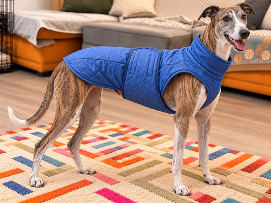 Tailored Quilted Denim Dog Coat | Fleece Lined Blue Wrap Jacket | Handmade Dog Coat with Velcro Belly Strap