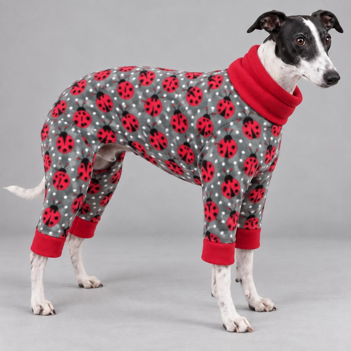 Whippet Fleece Jumpsuit, Dog Pyjamas, Warm Onesie for Sighthounds, Greyhound Italian Whippet Winter Suit, Soft Dog Romper