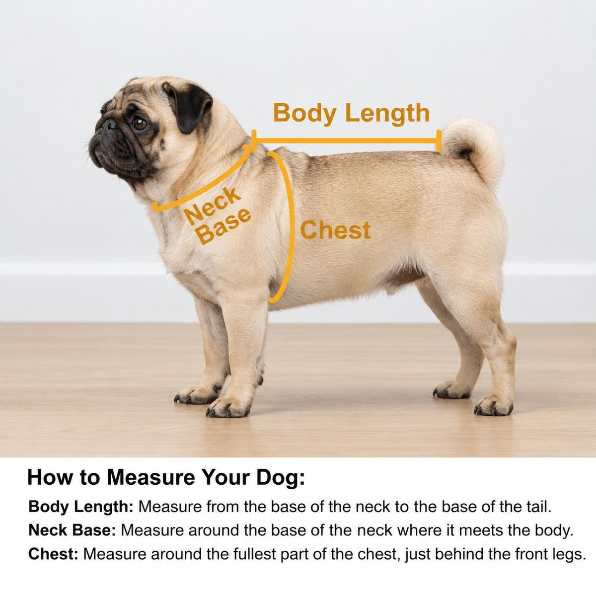 Fleece Dog Vest Designed for Pugs, Frenchie, Bulldogs Sleeveless Pullover for similar compact, deep-chested breeds. | Warm Dog Jumper
