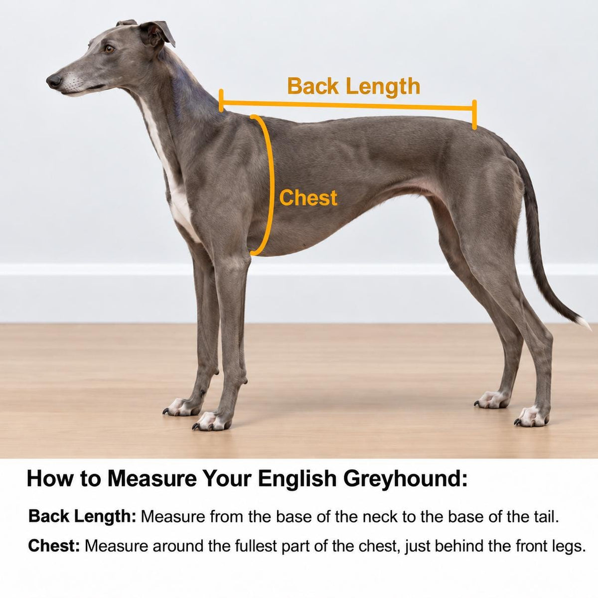 English Greyhound Fleece Jumper, Turtle Neck Dog Pyjamas, Greyhound Winter Top, Soft Fleece Greyhound Clothes