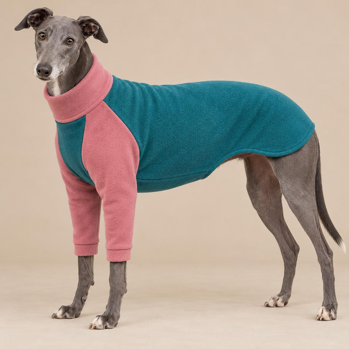 English Greyhound Fleece Jumper, Turtle Neck Dog Pyjamas, Greyhound Winter Top, Soft Fleece Greyhound Clothes