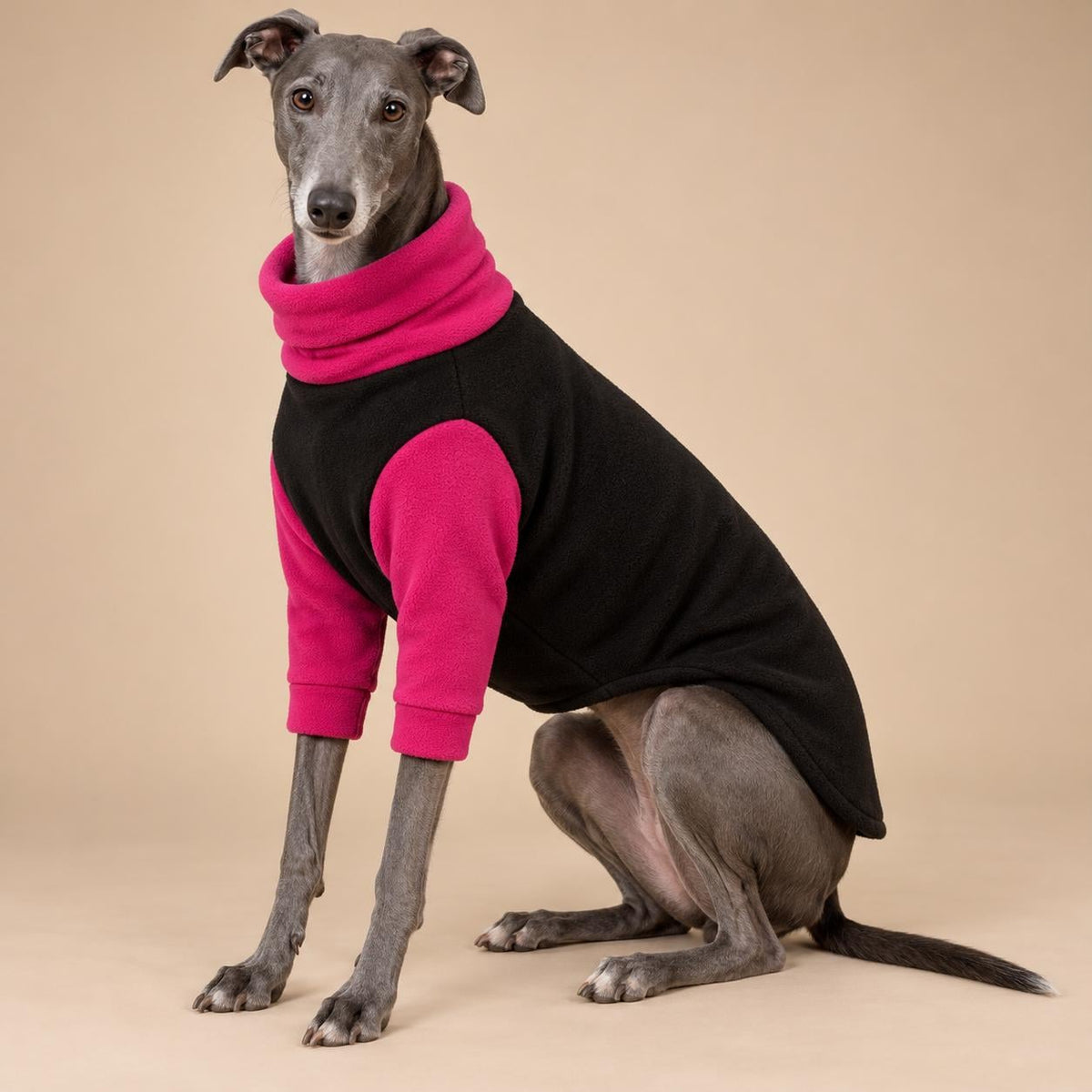 English Greyhound Fleece Jumper, Turtle Neck Dog Pyjamas, Greyhound Winter Top, Soft Fleece Greyhound Clothes