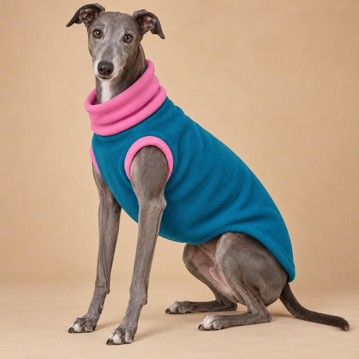 English Greyhound Fleece Jumper, Turtle Neck Dog Pyjamas, Greyhound Winter Top, Soft Fleece Greyhound Clothes