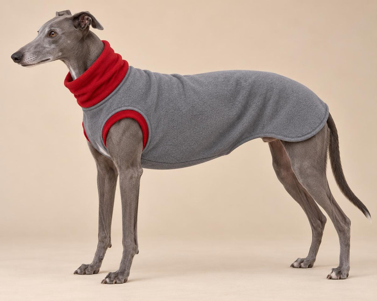 English Greyhound Fleece Jumper, Turtle Neck Dog Pyjamas, Greyhound Winter Top, Soft Fleece Greyhound Clothes