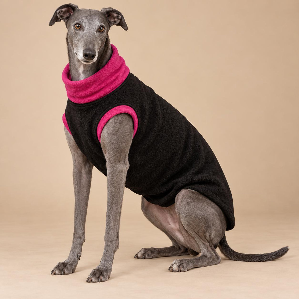 English Greyhound Fleece Jumper, Turtle Neck Dog Pyjamas, Greyhound Winter Top, Soft Fleece Greyhound Clothes