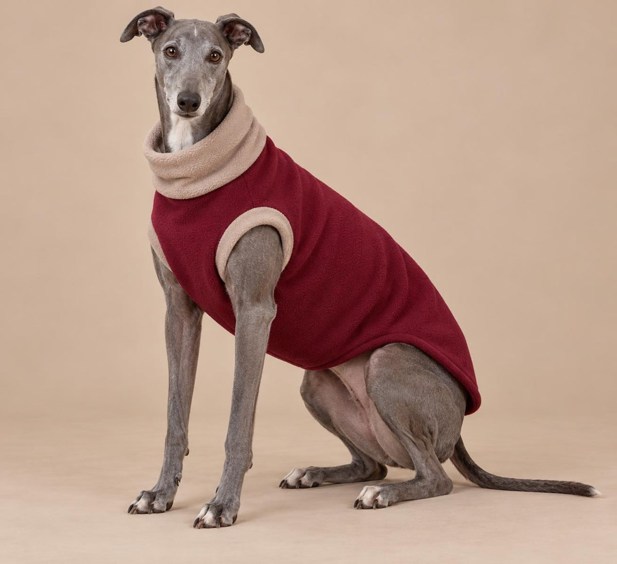 English Greyhound Fleece Jumper, Turtle Neck Dog Pyjamas, Greyhound Winter Top, Soft Fleece Greyhound Clothes