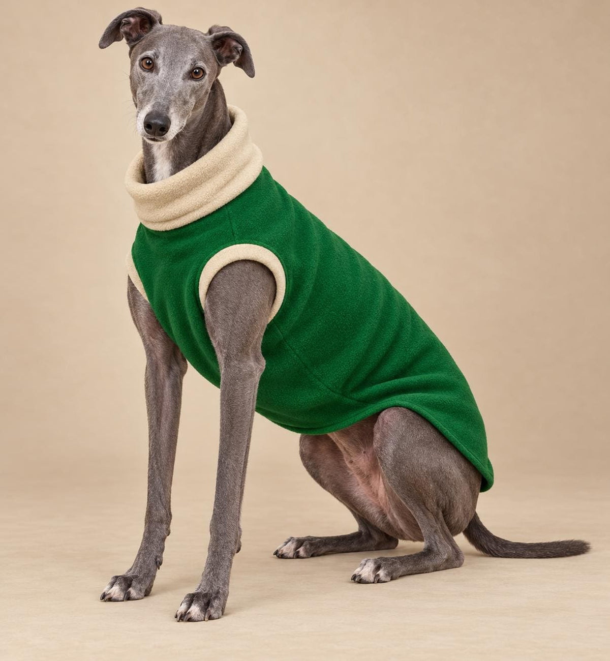 English Greyhound Fleece Jumper, Turtle Neck Dog Pyjamas, Greyhound Winter Top, Soft Fleece Greyhound Clothes
