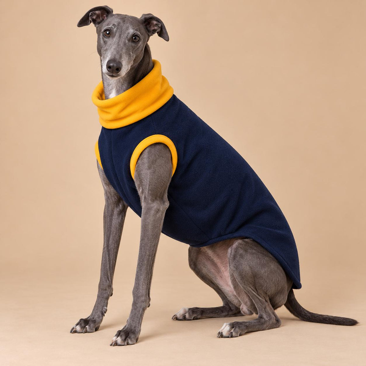 English Greyhound Fleece Jumper, Turtle Neck Dog Pyjamas, Greyhound Winter Top, Soft Fleece Greyhound Clothes