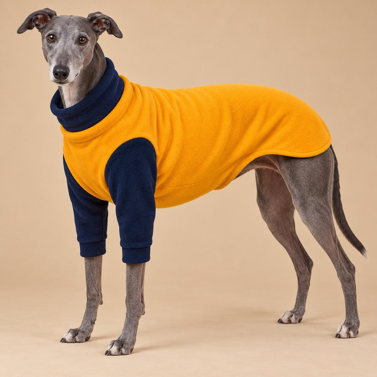 English Greyhound Fleece Jumper, Turtle Neck Dog Pyjamas, Greyhound Winter Top, Soft Fleece Greyhound Clothes