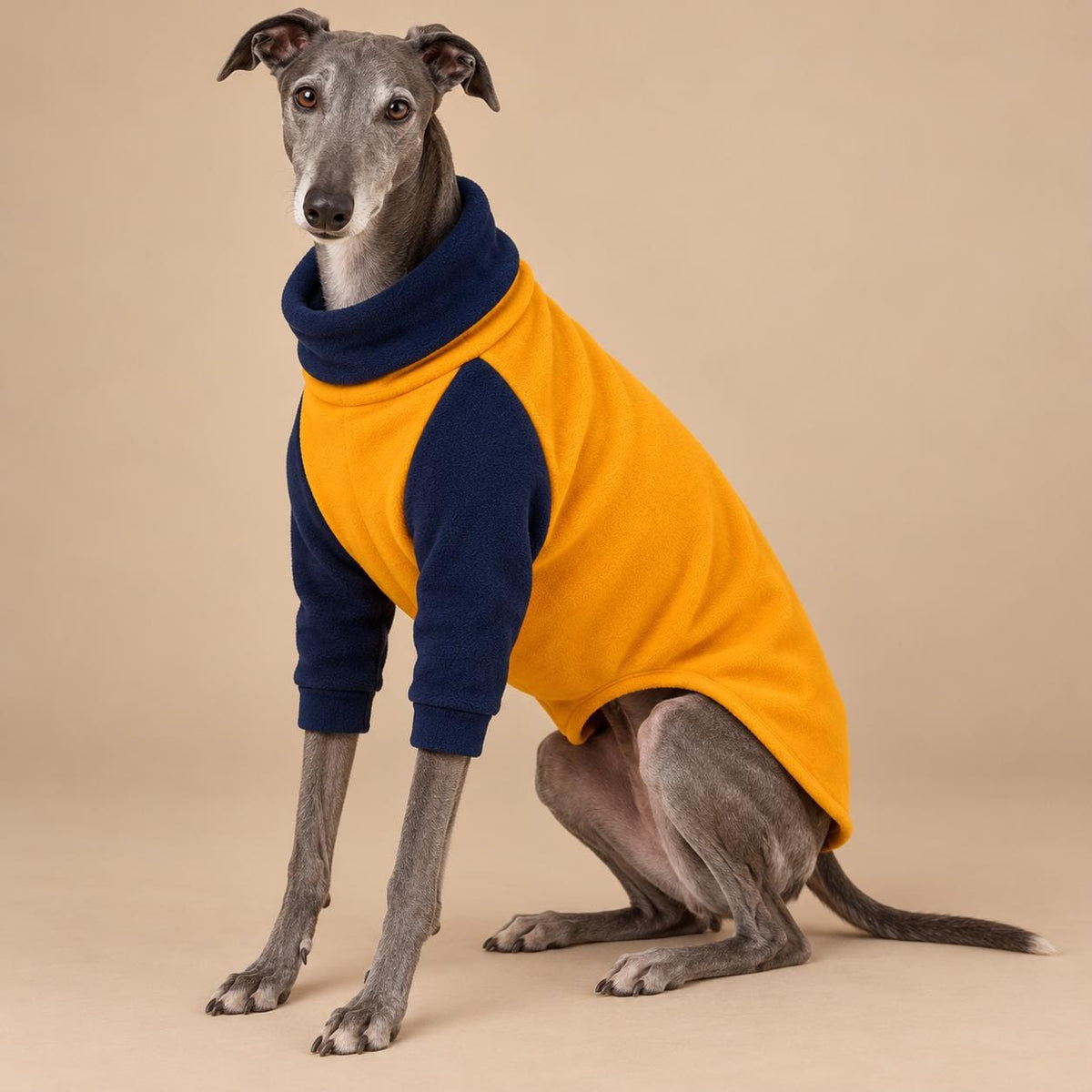 English Greyhound Fleece Jumper, Turtle Neck Dog Pyjamas, Greyhound Winter Top, Soft Fleece Greyhound Clothes