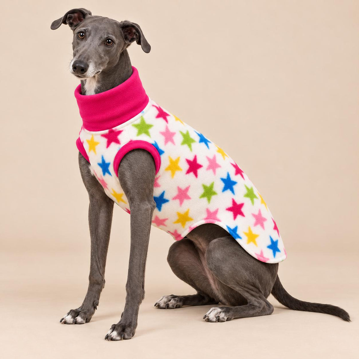 English Greyhound Fleece Jumper, Turtle Neck Dog Pyjamas, Greyhound Winter Top, Soft Fleece Greyhound Clothes
