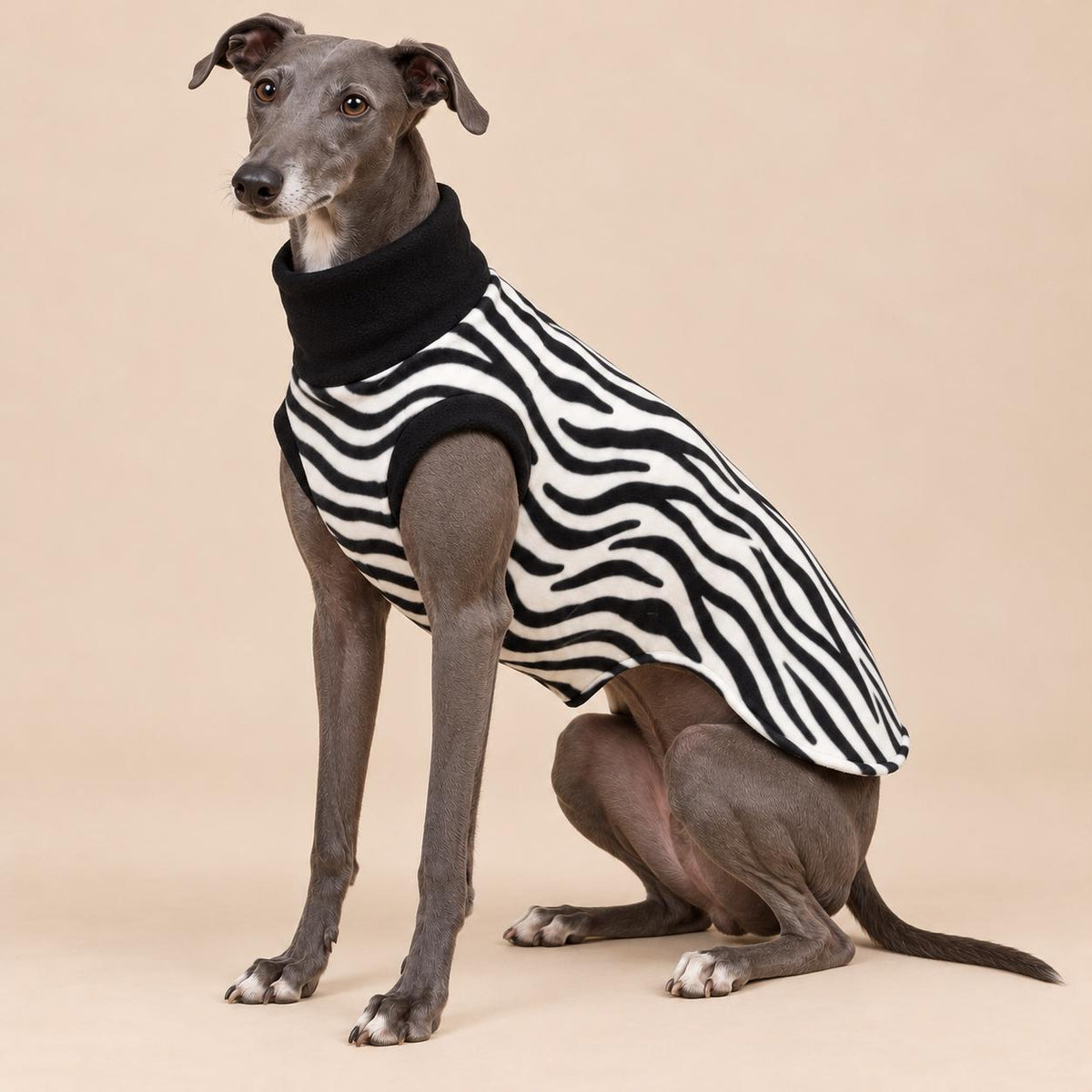 English Greyhound Fleece Jumper, Turtle Neck Dog Pyjamas, Greyhound Winter Top, Soft Fleece Greyhound Clothes