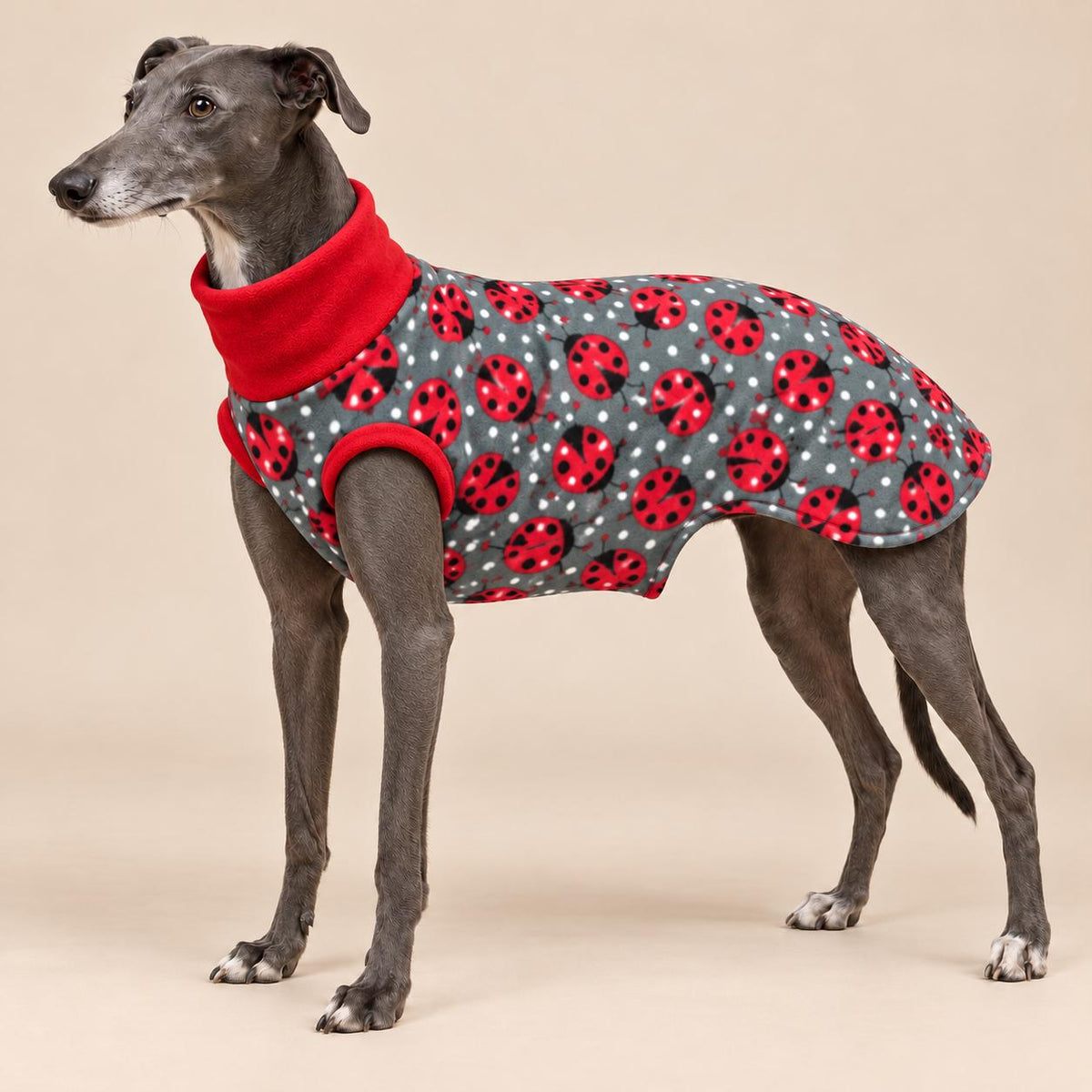 English Greyhound Fleece Jumper, Turtle Neck Dog Pyjamas, Greyhound Winter Top, Soft Fleece Greyhound Clothes