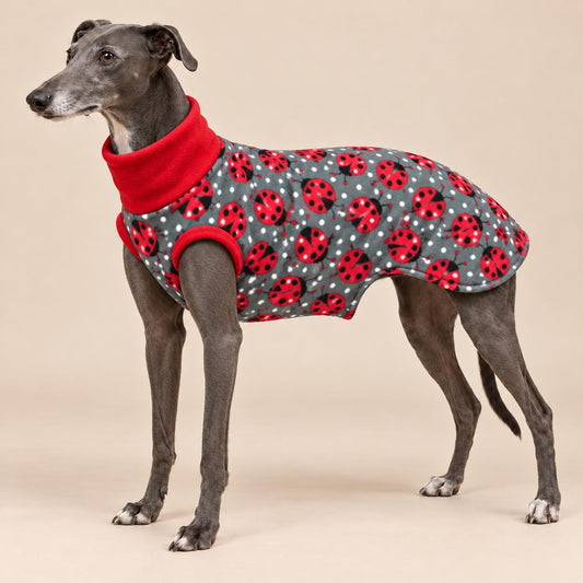 English Greyhound Fleece Jumper, Turtle Neck Dog Pyjamas, Greyhound Winter Top, Soft Fleece Greyhound Clothes