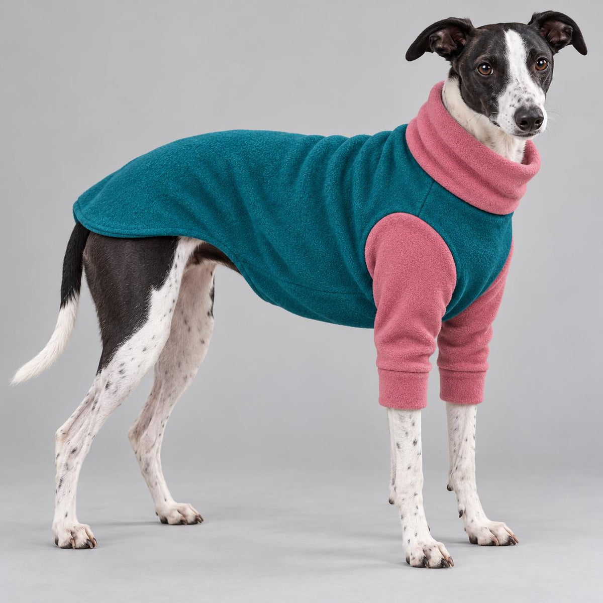 Whippet Fleece Jumper with Sleeves, Turtle Neck Dog Coat, Warm Winter Pyjamas for Sighthounds Greyhound Clothes