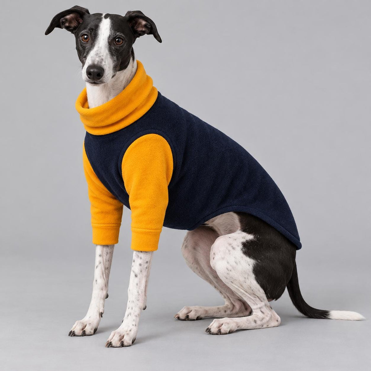 Whippet Fleece Jumper with Sleeves, Turtle Neck Dog Coat, Warm Winter Pyjamas for Sighthounds Greyhound Clothes Navy/Yellow