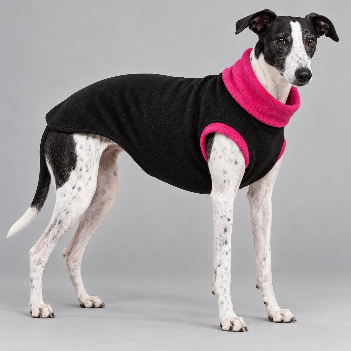 Whippet Fleece Jumper, Sleeveless Dog Coat with Turtle Neck, Two Tone Anti Pill Fleece, Handmade Dog Clothing