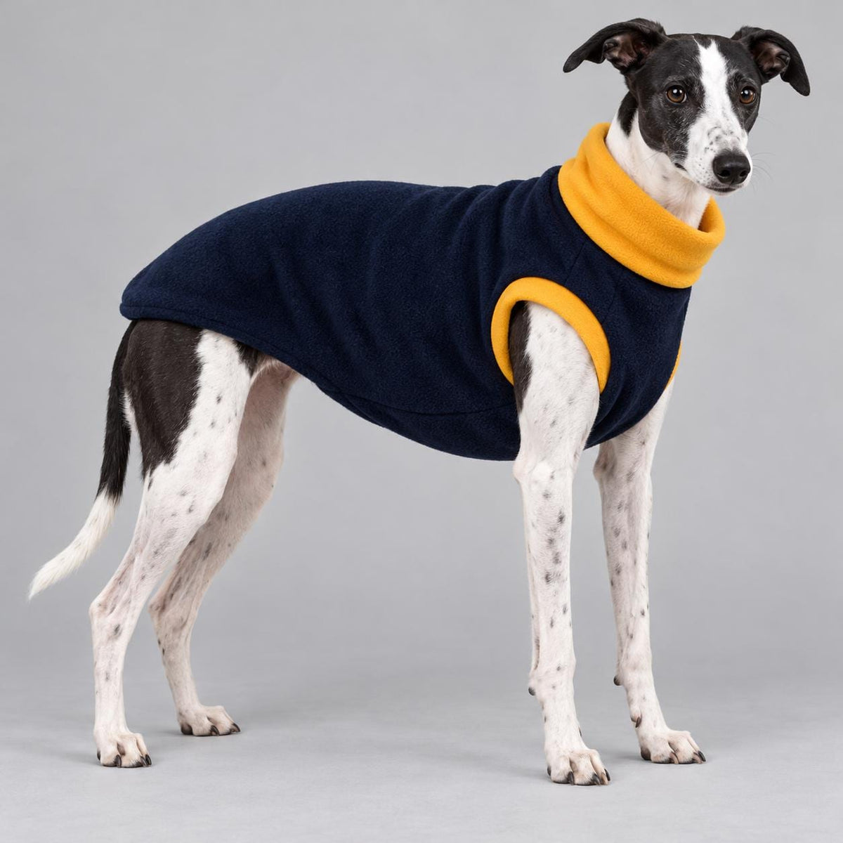 Whippet Fleece Jumper, Sleeveless Dog Coat with Turtle Neck, Two Tone Anti Pill Fleece, Handmade Dog Clothing
