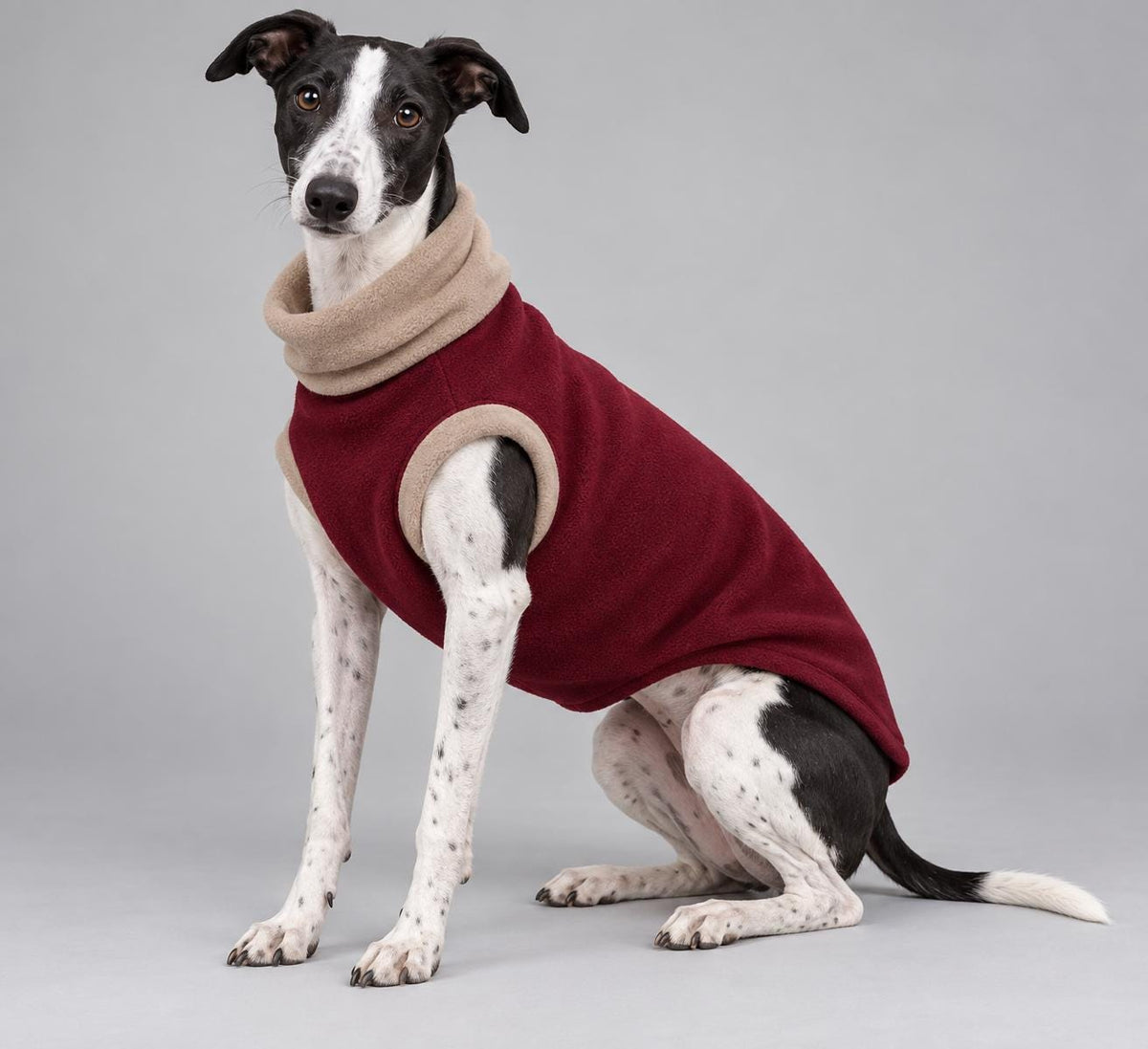 Whippet Fleece Jumper, Sleeveless Dog Coat with Turtle Neck, Two Tone Anti Pill Fleece, Handmade Dog Clothing
