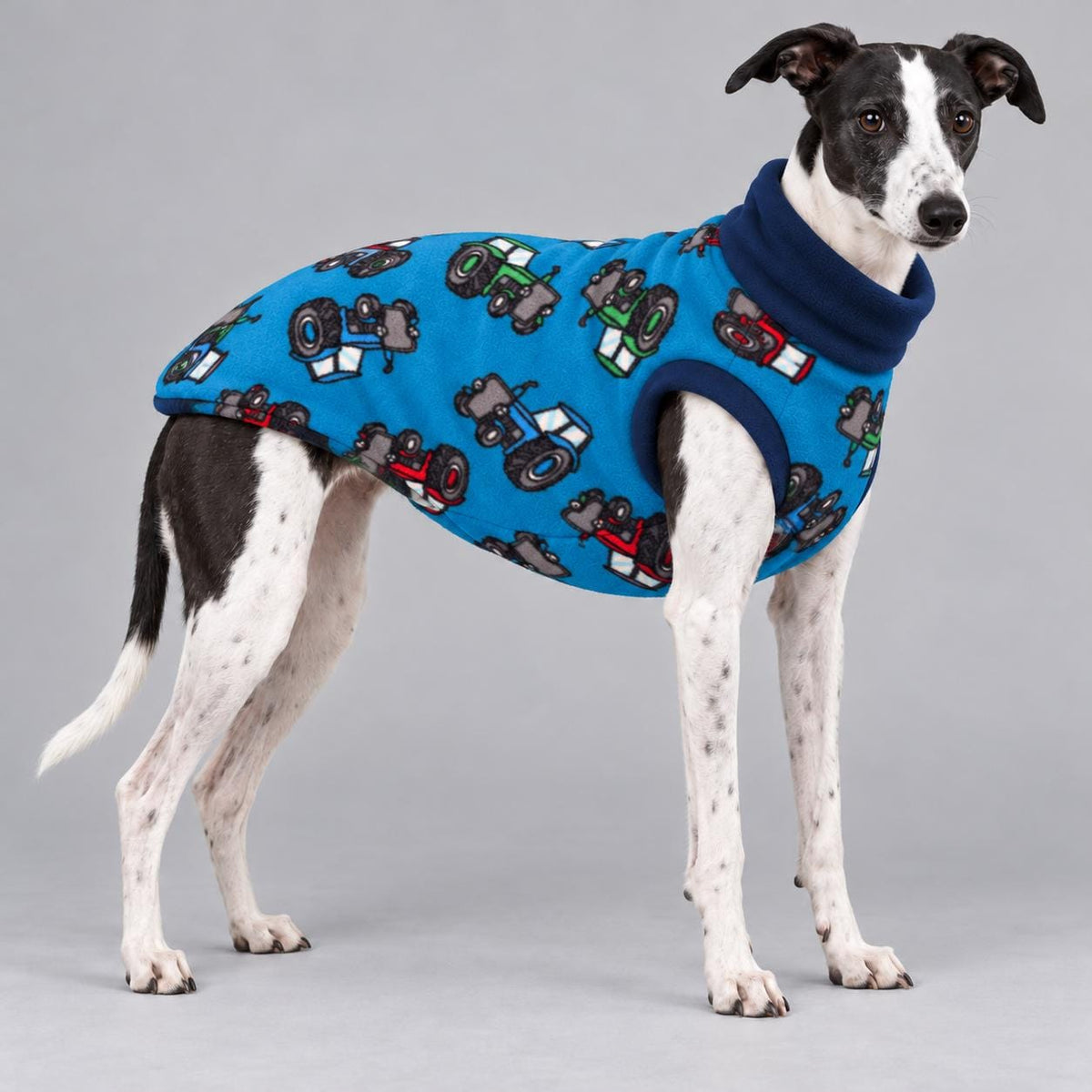 Whippet Fleece Jumper, Sleeveless Dog Coat with Turtle Neck, Two Tone Anti Pill Fleece, Handmade Dog Clothing