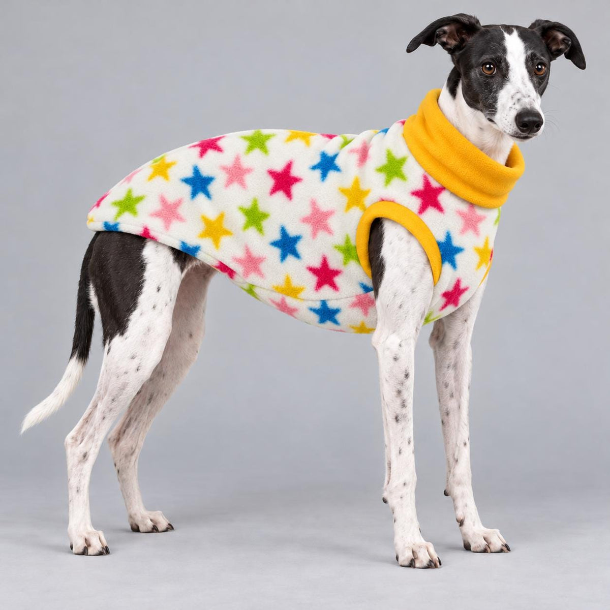 Whippet Fleece Jumper, Sleeveless Dog Coat with Turtle Neck, Two Tone Anti Pill Fleece, Handmade Dog Clothing