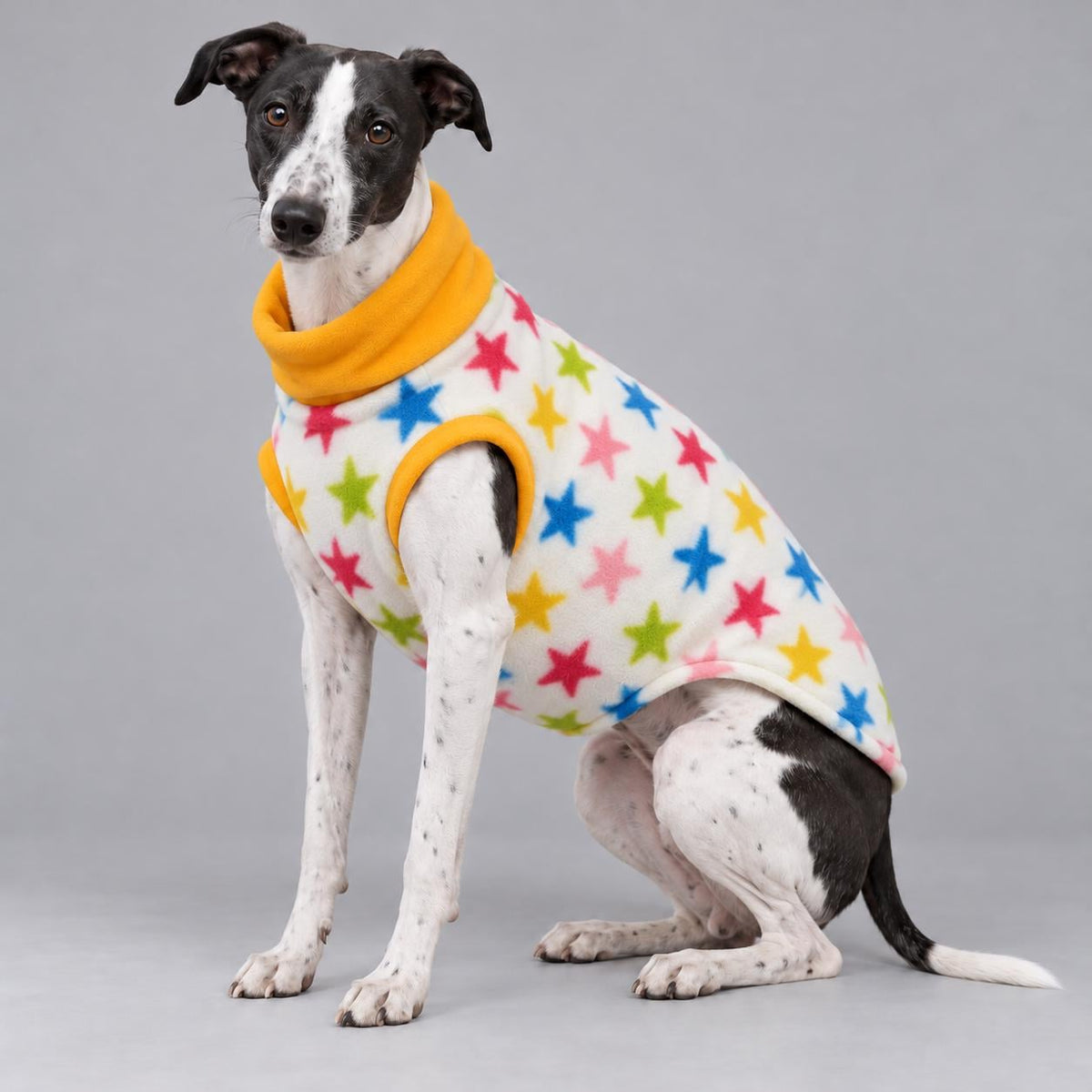 Whippet Fleece Jumper, Sleeveless Dog Coat with Turtle Neck, Two Tone Anti Pill Fleece, Handmade Dog Clothing