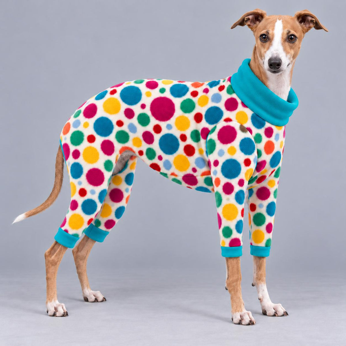 Italian Greyhound Fleece Onesie, Four-Leg Dog Pyjamas with Roll Neck, Warm Iggy Winter Clothes, Handmade Sighthound Jumper
