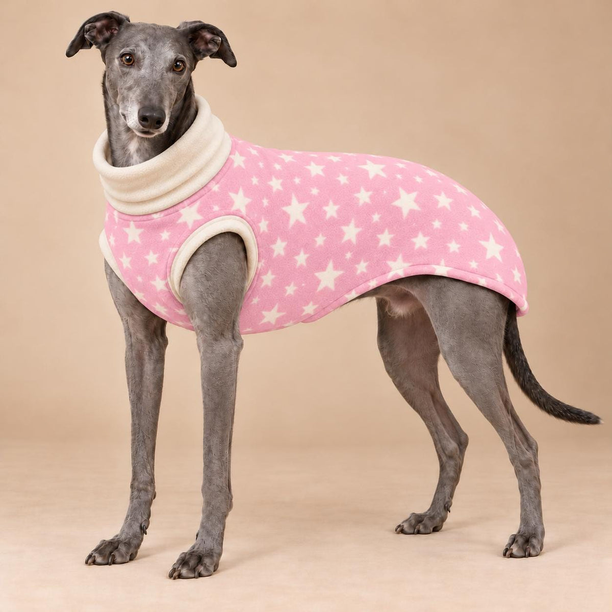 English Greyhound Fleece Jumper, Turtle Neck Dog Pyjamas, Greyhound Winter Top, Soft Fleece Greyhound Clothes