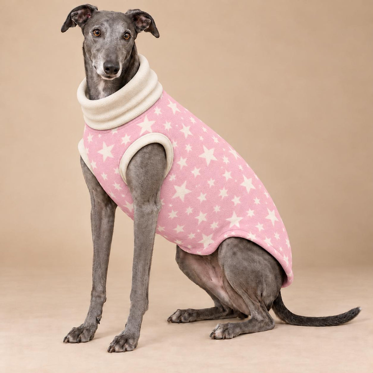 English Greyhound Fleece Jumper, Turtle Neck Dog Pyjamas, Greyhound Winter Top, Soft Fleece Greyhound Clothes