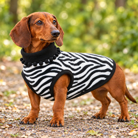 Handmade Two Tone Fleece Jumper with Pom Pom Trim For Sausage Dog, Warm Dachshund Coat, Small to Large Dog Clothing
