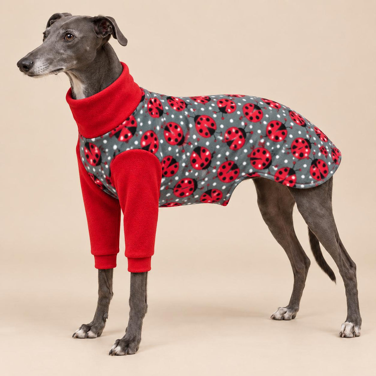 English Greyhound Fleece Jumper, Turtle Neck Dog Pyjamas, Greyhound Winter Top, Soft Fleece Greyhound Clothes