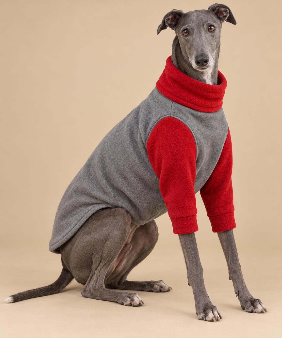 English Greyhound Fleece Jumper, Turtle Neck Dog Pyjamas, Greyhound Winter Top, Soft Fleece Greyhound Clothes