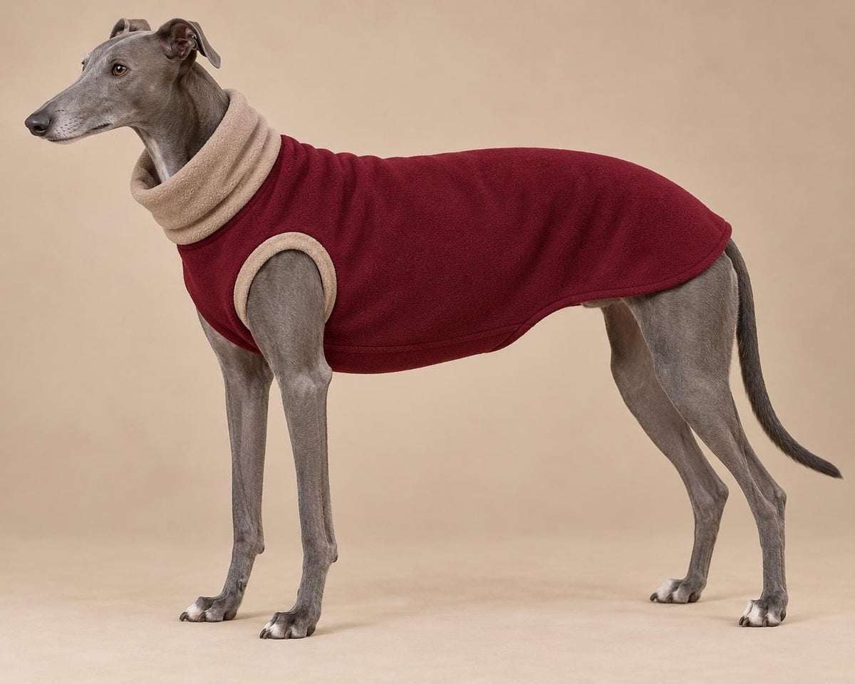 English Greyhound Fleece Jumper, Turtle Neck Dog Pyjamas, Greyhound Winter Top, Soft Fleece Greyhound Clothes