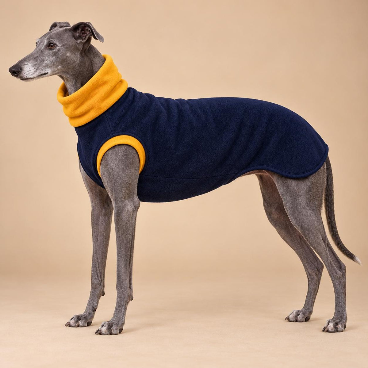 English Greyhound Fleece Jumper, Turtle Neck Dog Pyjamas, Greyhound Winter Top, Soft Fleece Greyhound Clothes