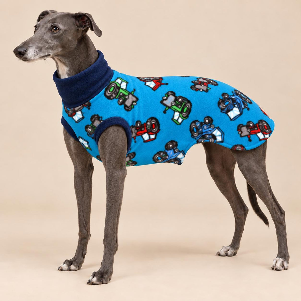 English Greyhound Fleece Jumper, Turtle Neck Dog Pyjamas, Greyhound Winter Top, Soft Fleece Greyhound Clothes