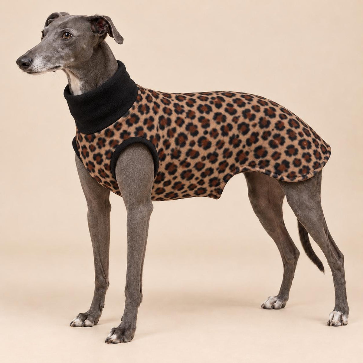 English Greyhound Fleece Jumper, Turtle Neck Dog Pyjamas, Greyhound Winter Top, Soft Fleece Greyhound Clothes